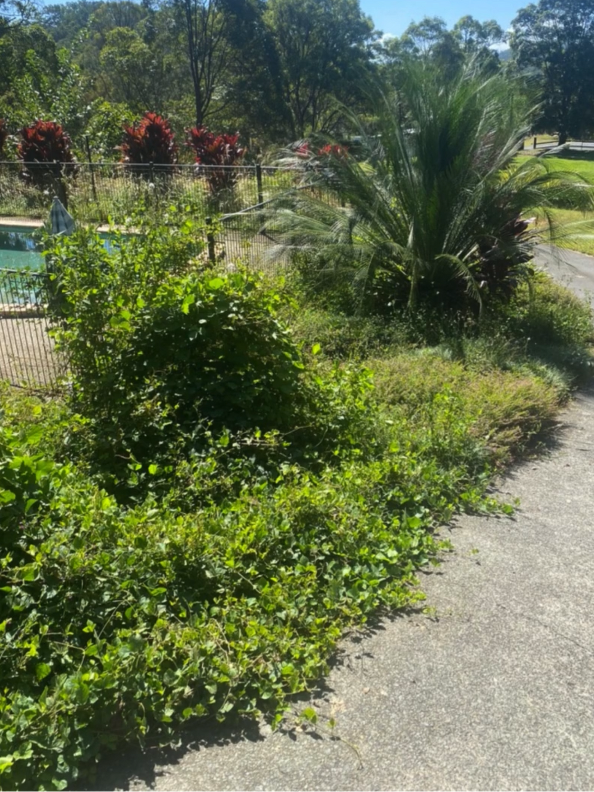 Team Mulcho Property Maintenance before photo 