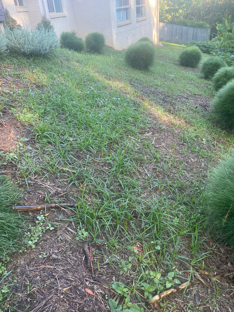 Sale Prep - Mulching & garden bed creation - After