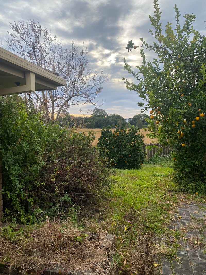 Seasonal garden cleanup - After